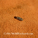 Avlång skäggpärla med spiralornament, brons