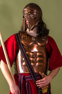 Spartan musculata, 1.2 mm