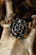 Tudor rose belt fitting (set of 5 pieces), silvered bronze