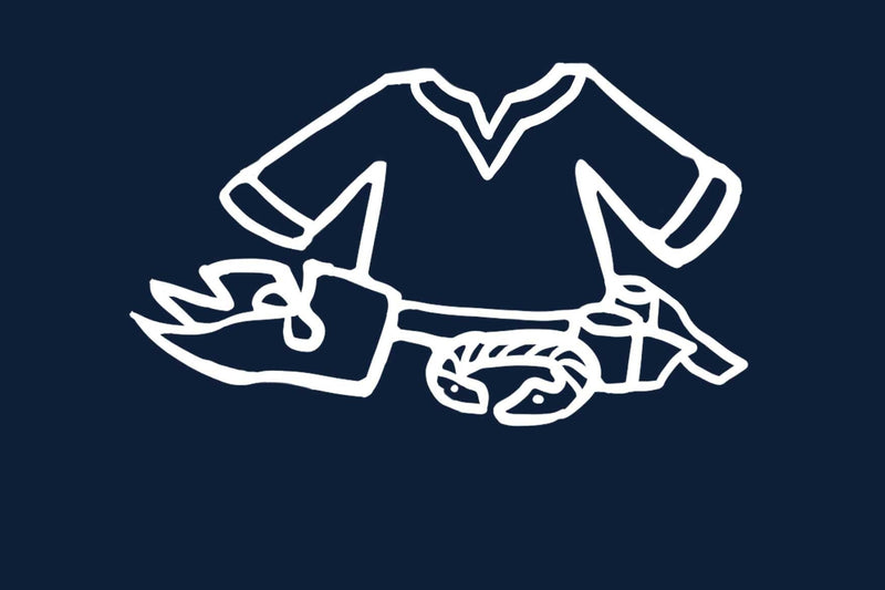 Hoe schildpadbroches te versieren