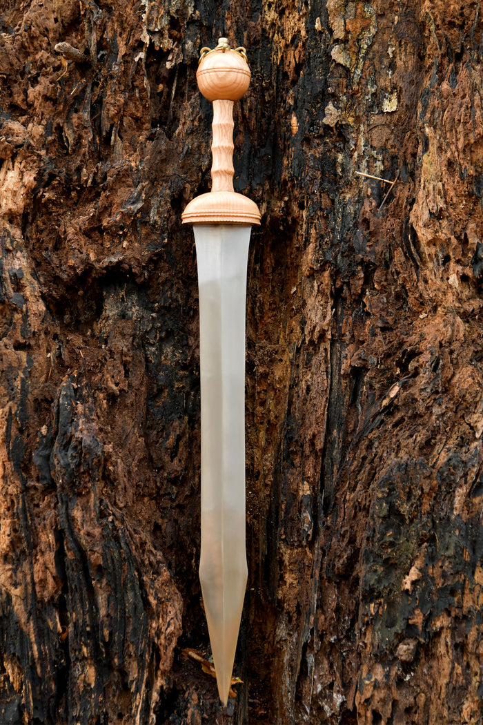 Deepeeka Dubravica gladius, type Mainz, 1e eeuw n.Chr., semi-scherp