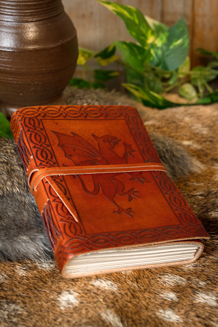 Leren boek met draak