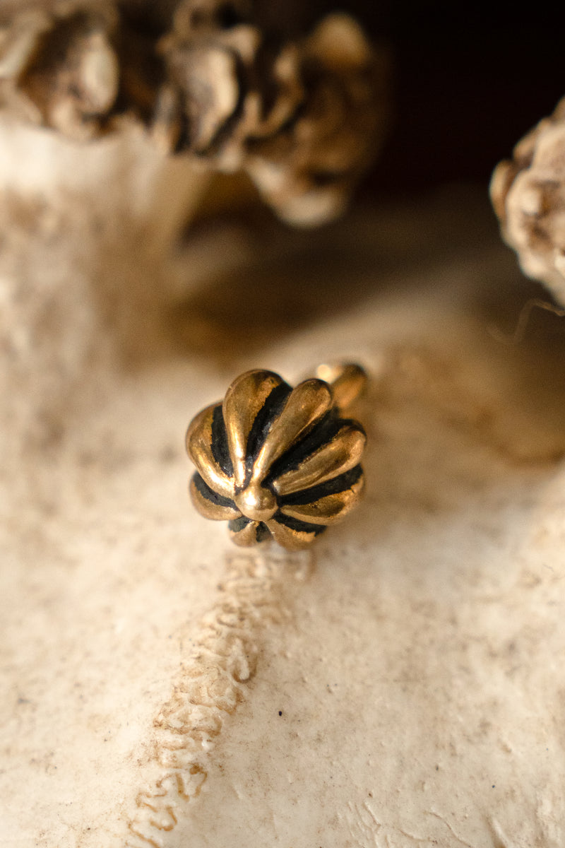 Medieval buttons Tver, set of 5 pieces, bronze