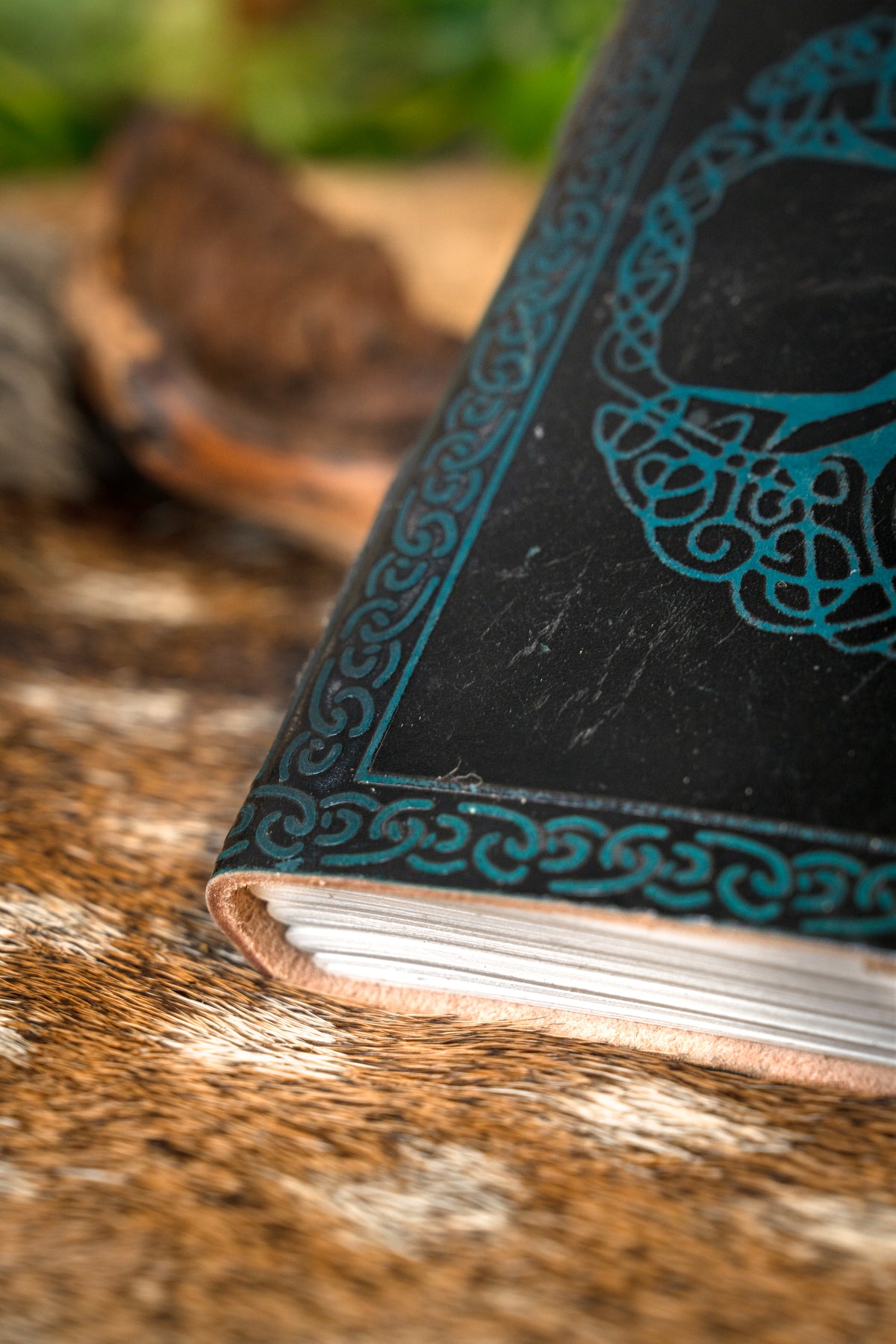 Leren boek Levensboom