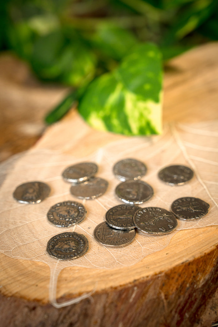 Romeins muntenpakket denarii