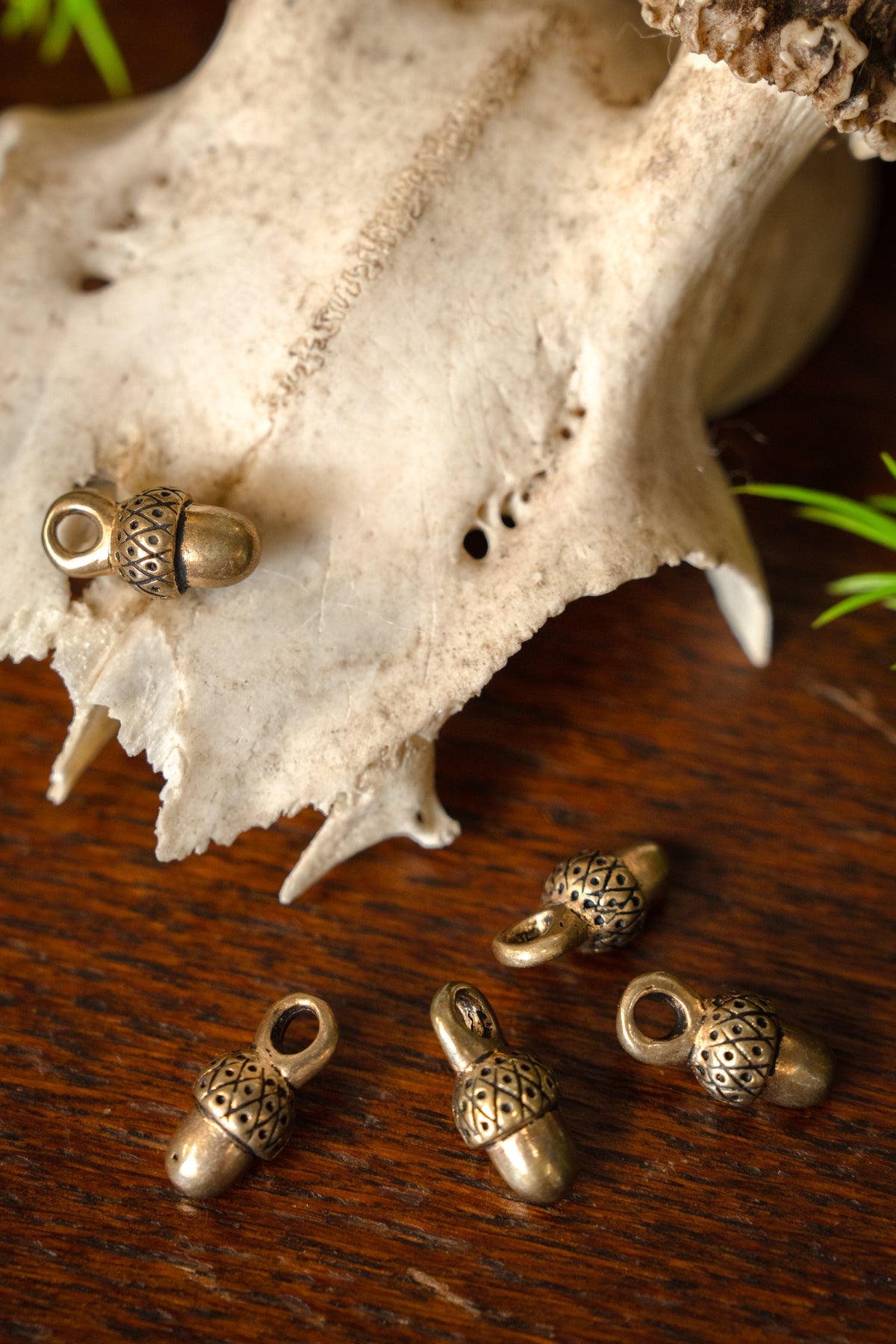 Bottoni a forma di ghianda del XV secolo, set da cinque pezzi, bronzo