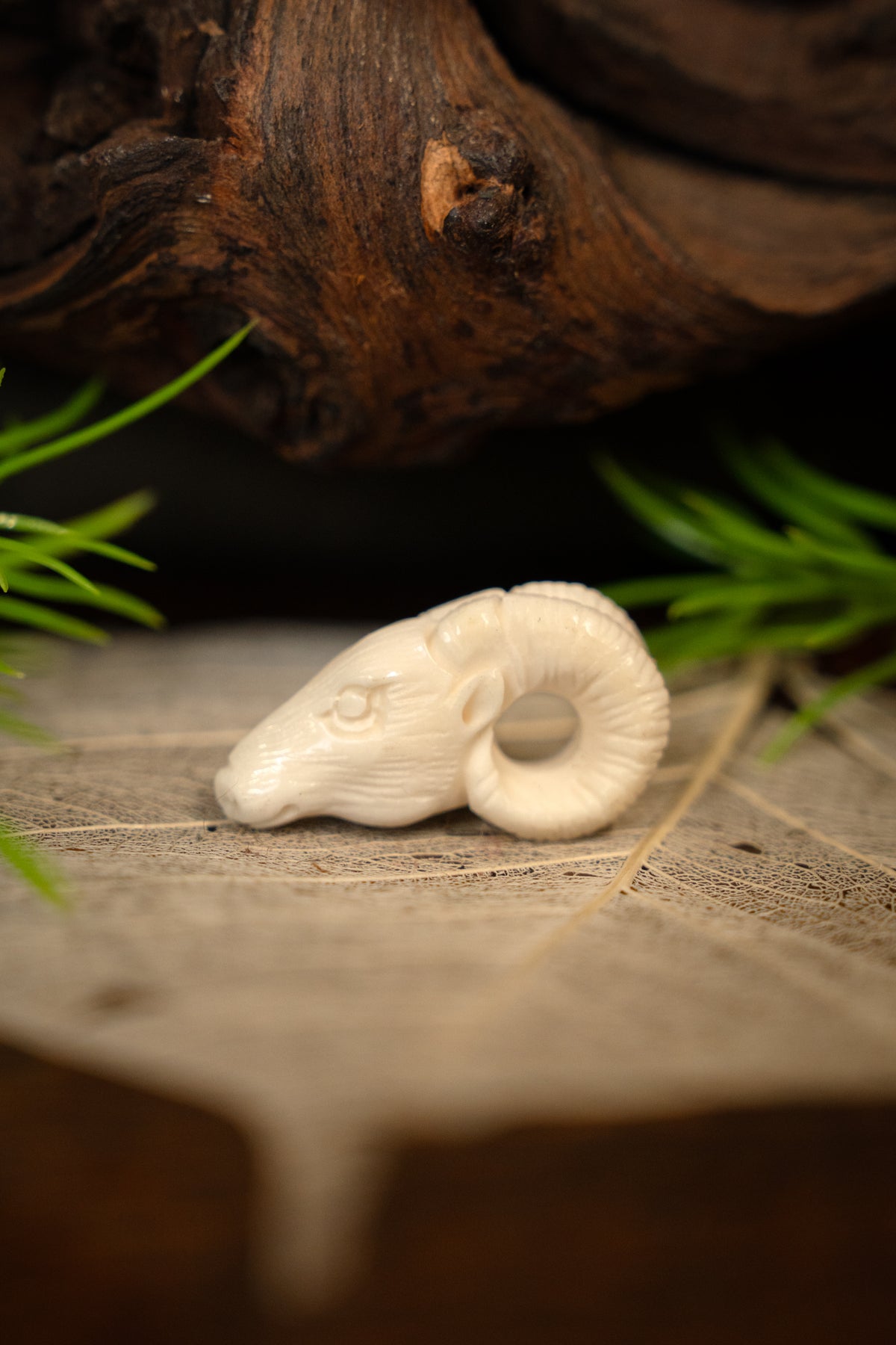 Widderornament, Knochen