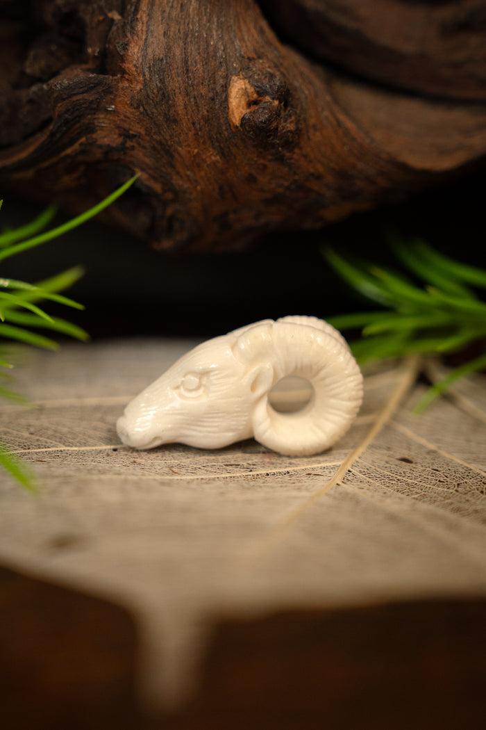 Widderornament, Knochen