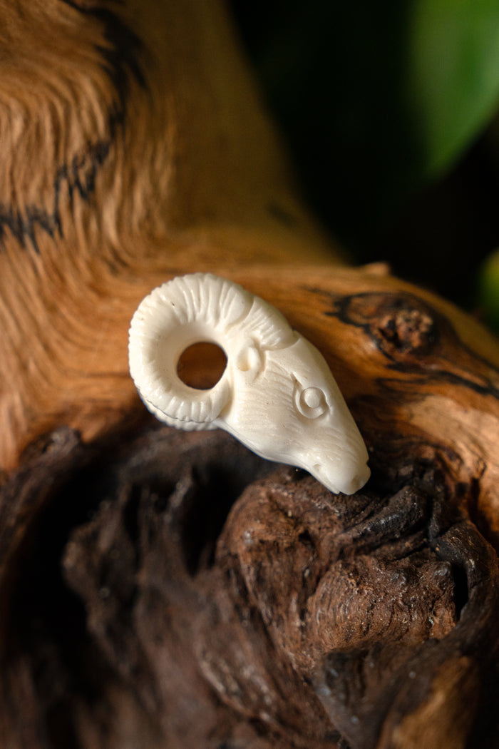 Widderornament, Knochen