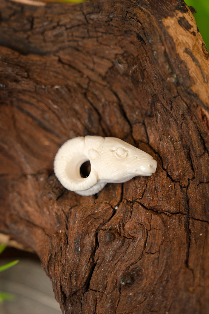 Widderornament, Knochen