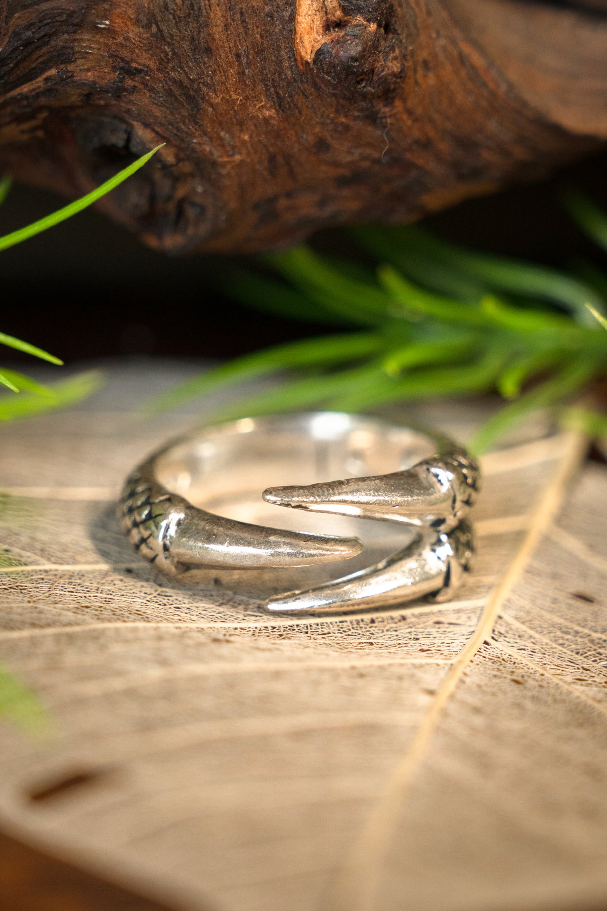 Ring med drageklo, forsølvet bronze