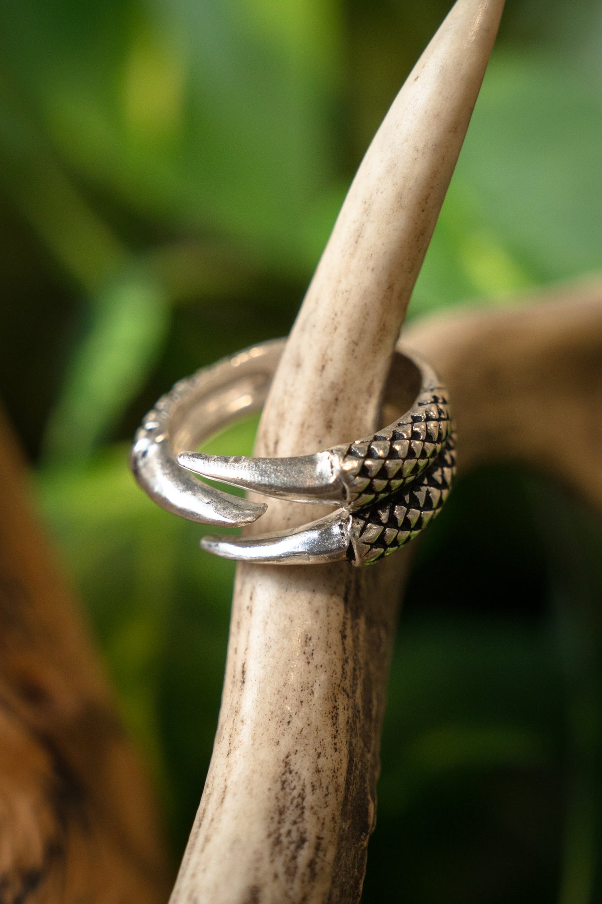 Ring med drageklo, forsølvet bronze