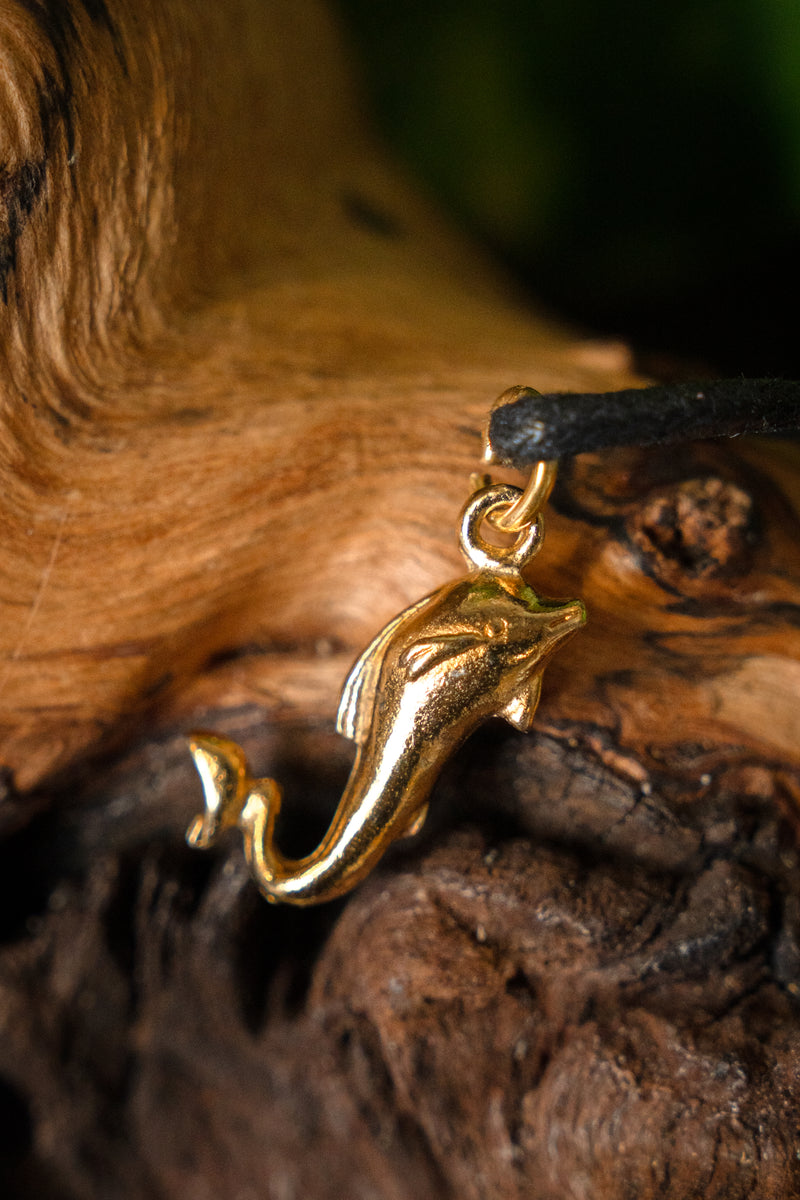 Romerskt delfinhänge, tenn