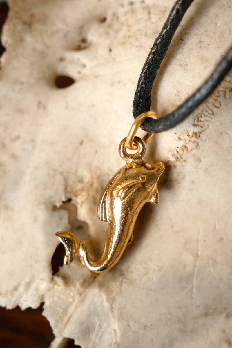 Romerskt delfinhänge, tenn