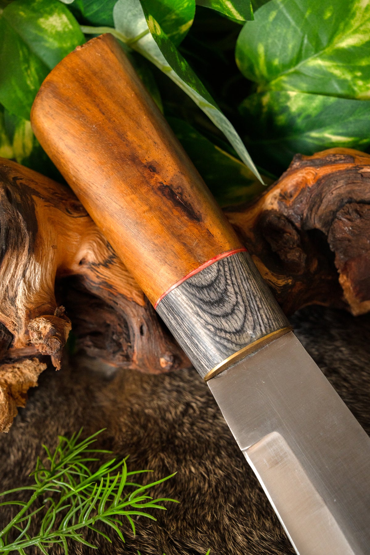 Cuchillo vikingo Novgorod, semi-afilado