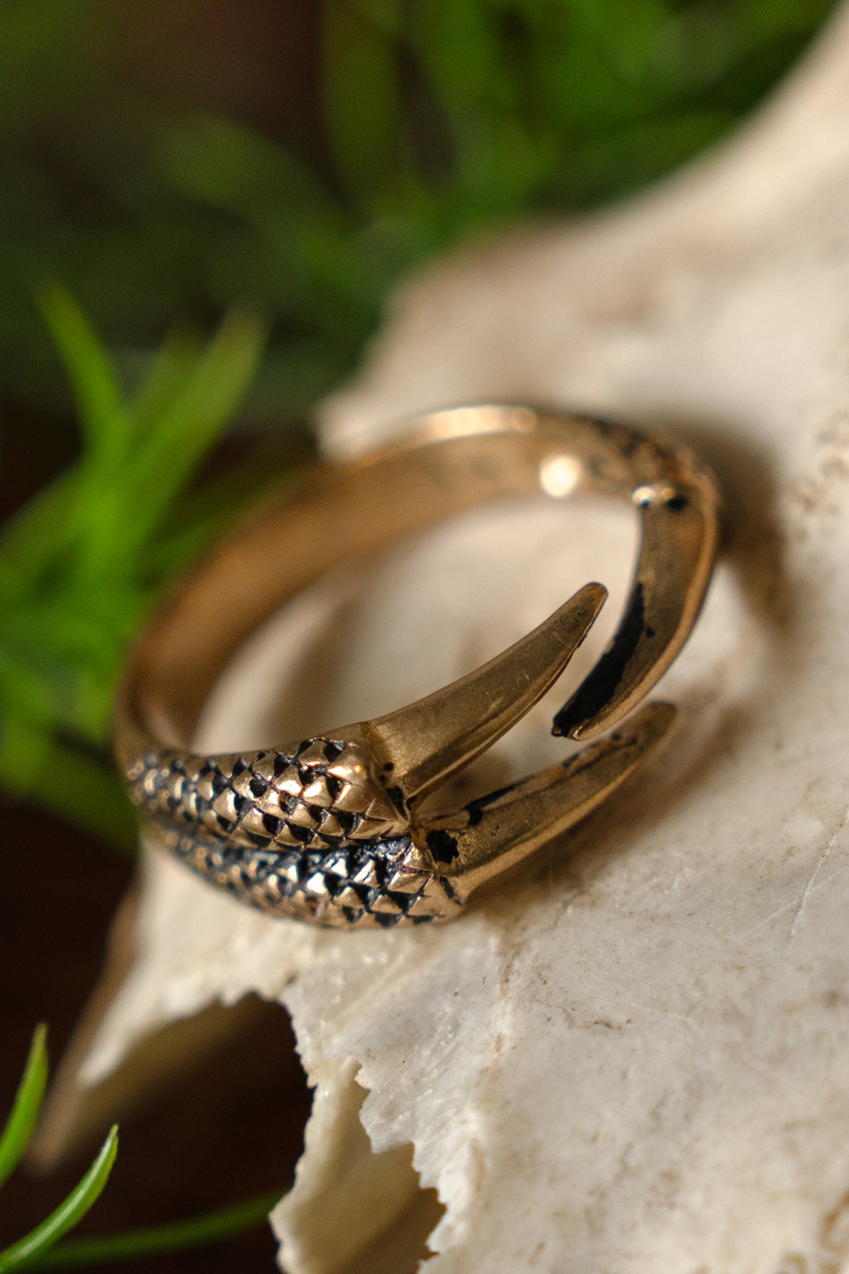 Ring med drakklo, brons