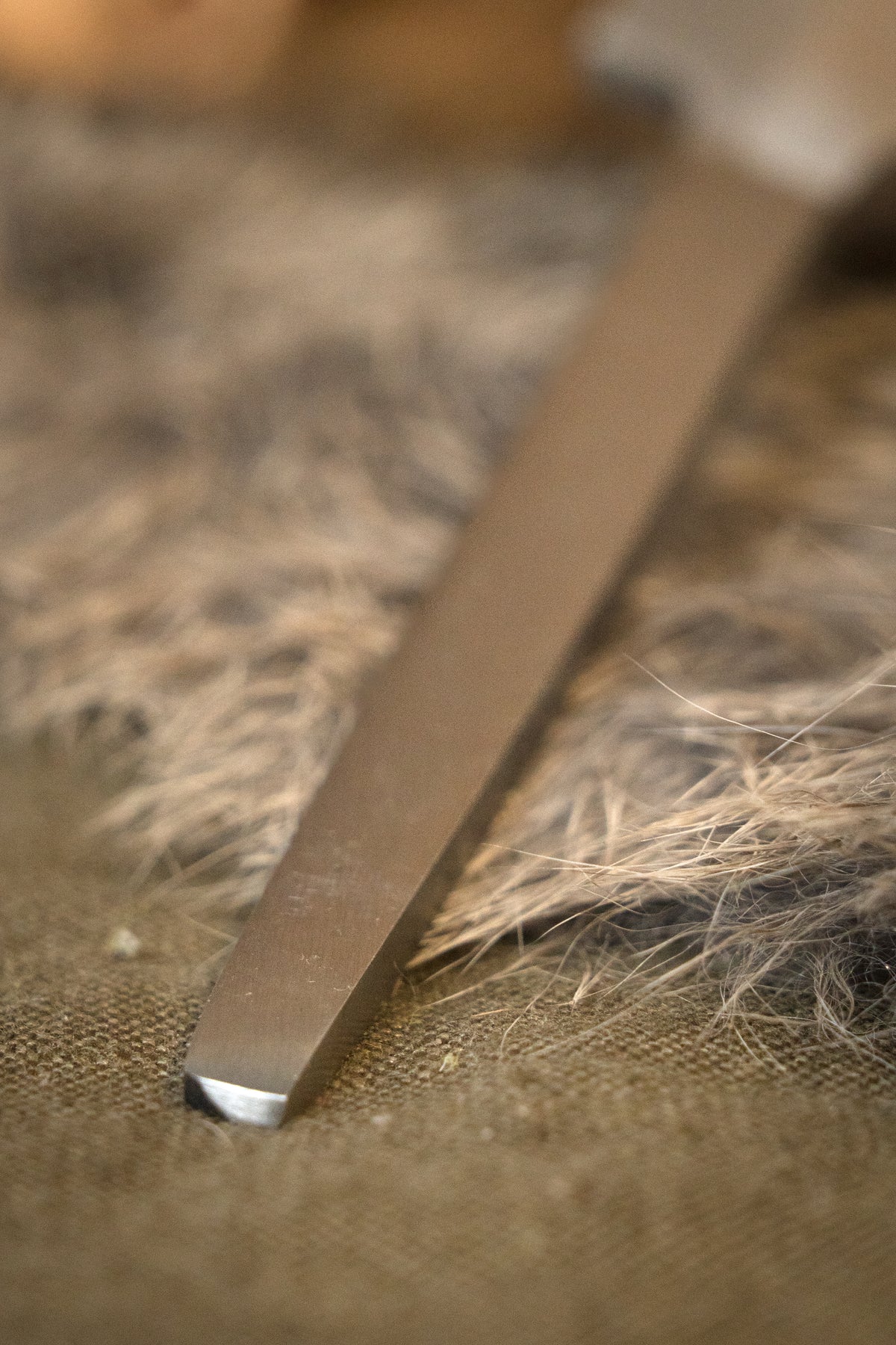 Vikingsaxkling Gotland, gepolijst, 40 cm