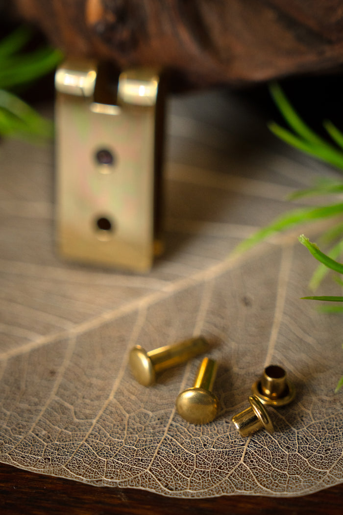 Gespplaatje 2 cm, brons