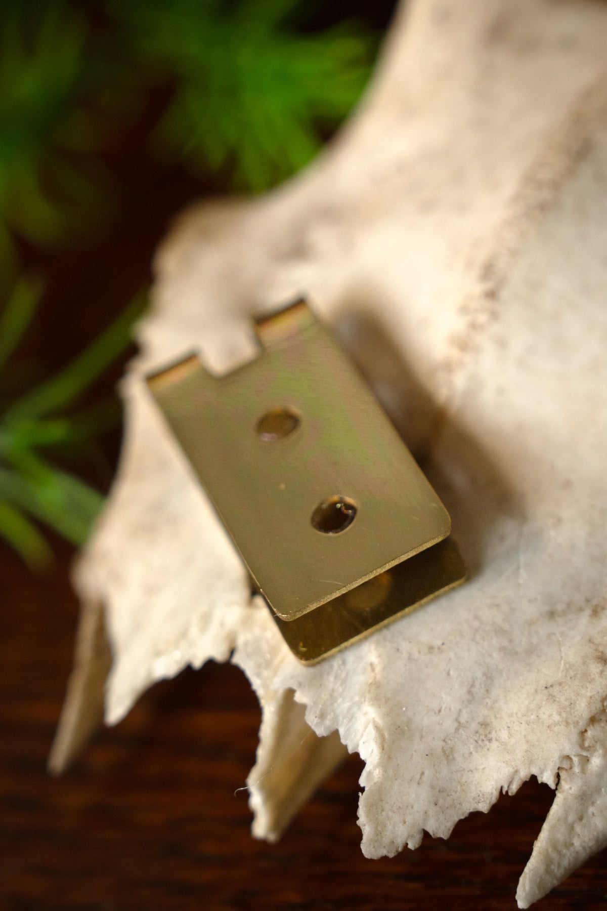 Belt plate 2 cm, bronze