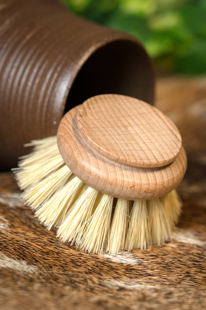 Medeltida diskborste