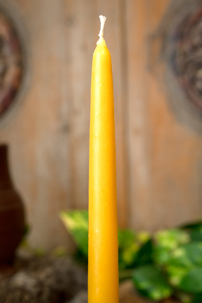 Doppat bivaxljus 30 cm