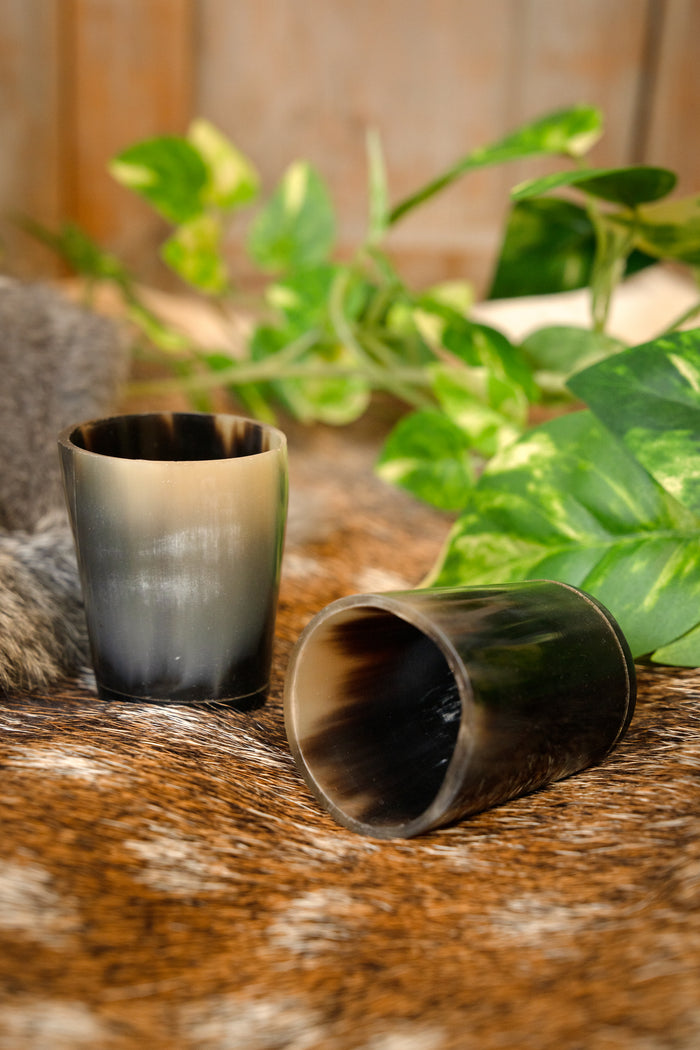 Set of 2 horn shot glasses, 300-500 ml