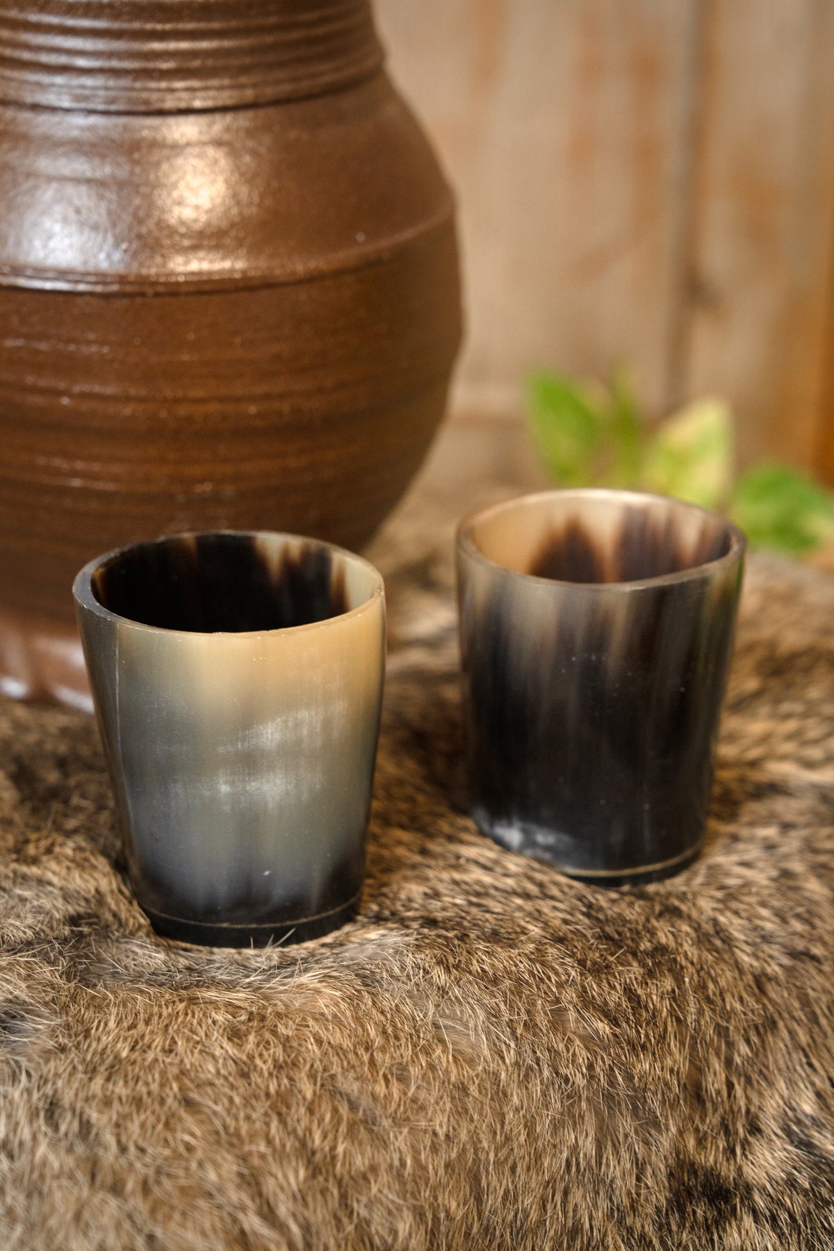 Set of 2 horn shot glasses, 300-500 ml