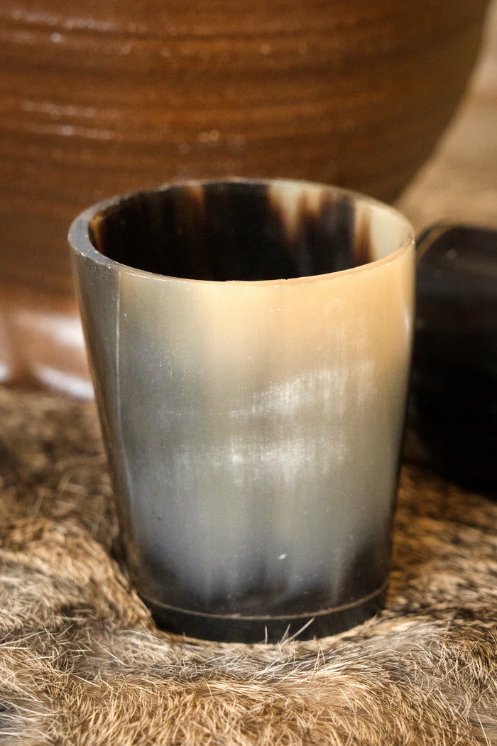 Set of 2 horn shot glasses, 300-500 ml