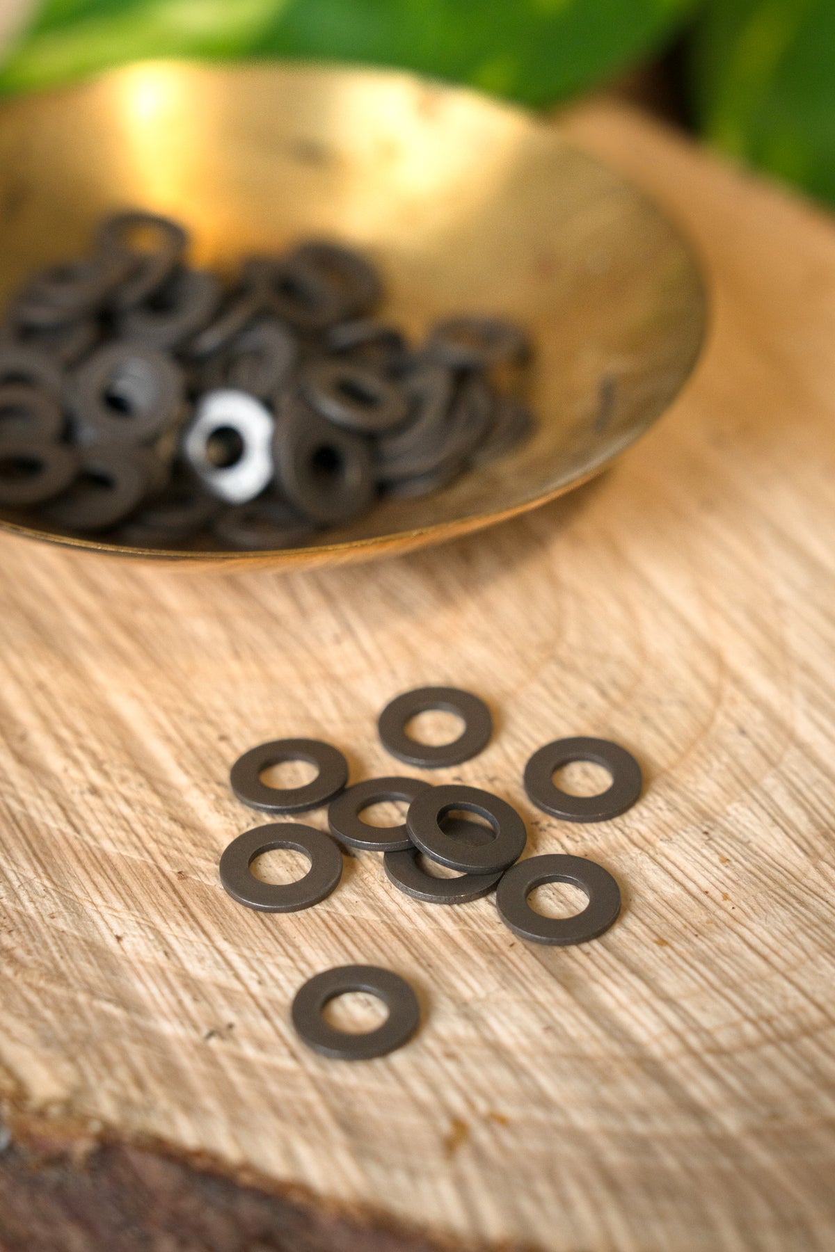 Skiver, store, sæt med 100