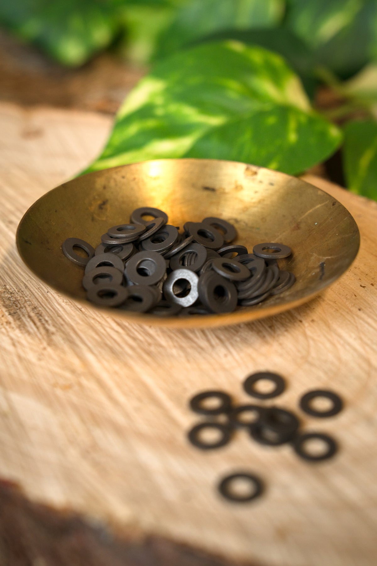 Skiver, store, sæt med 100