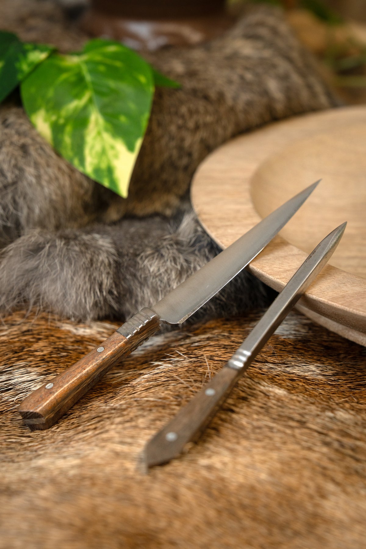 14th-15th century cutlery set wooden grip, small