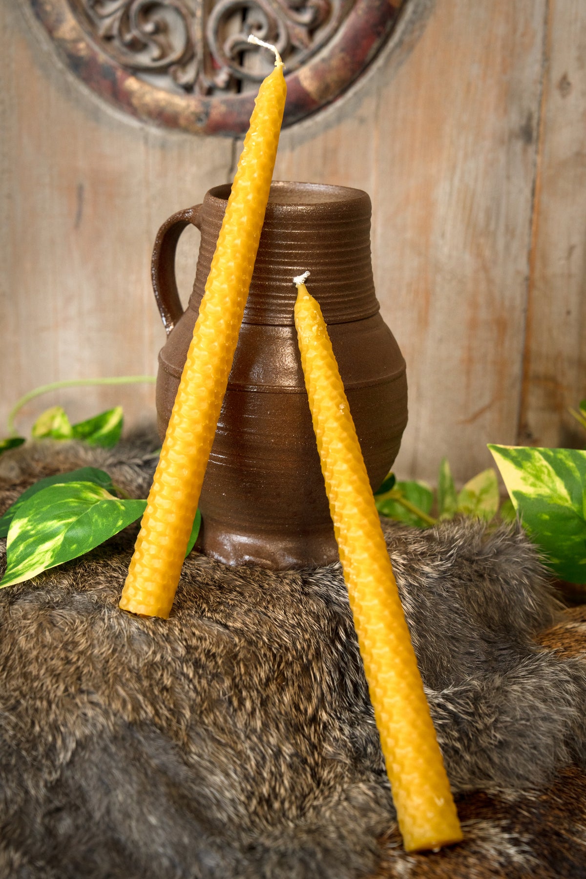 Gerolde bijenwaskaars 24 cm, set van 7