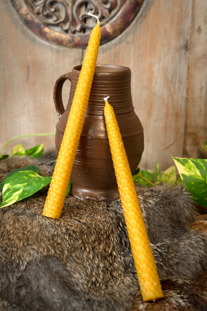 Gerolde bijenwaskaars 24 cm, set van 7
