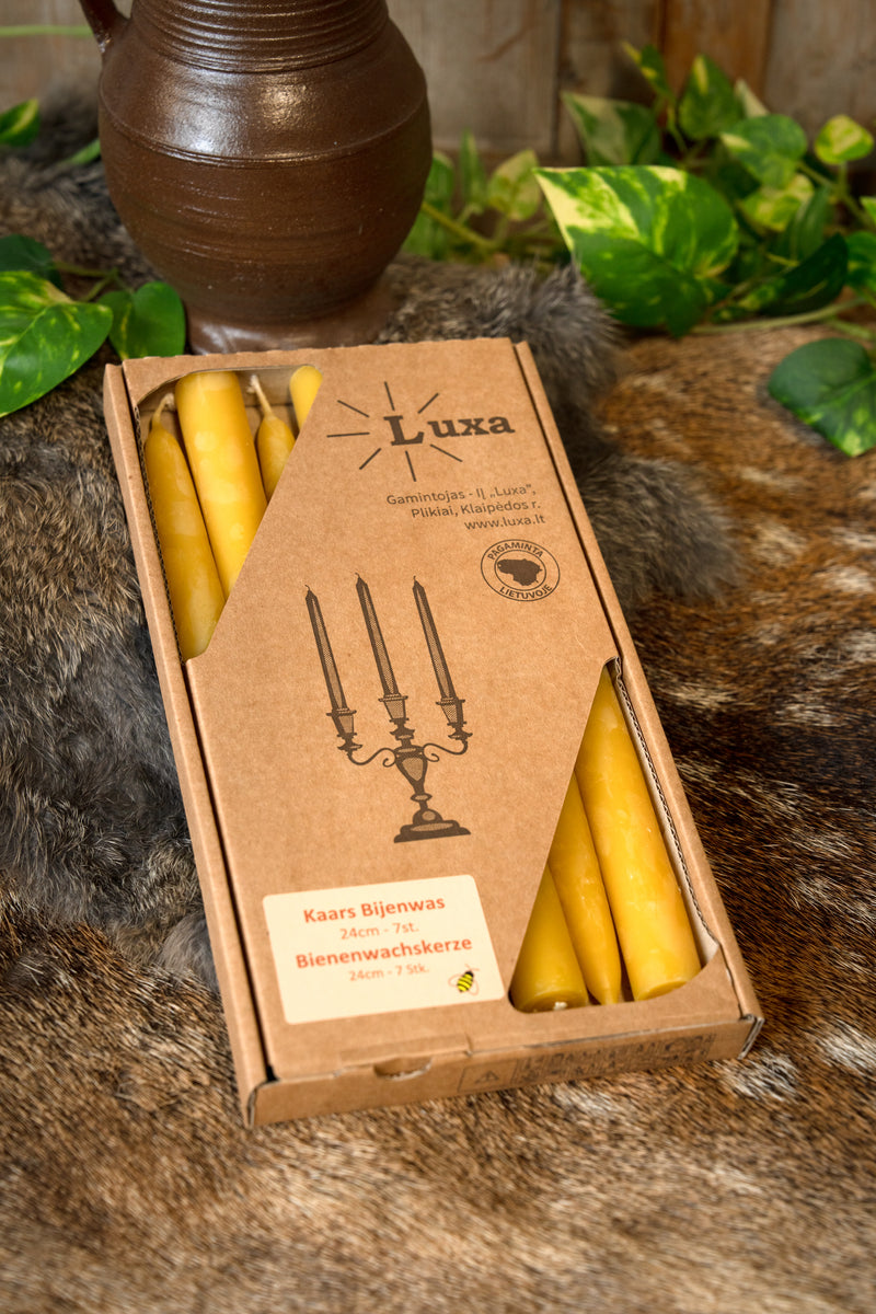Dipped beeswax candle 24 cm, set of 7