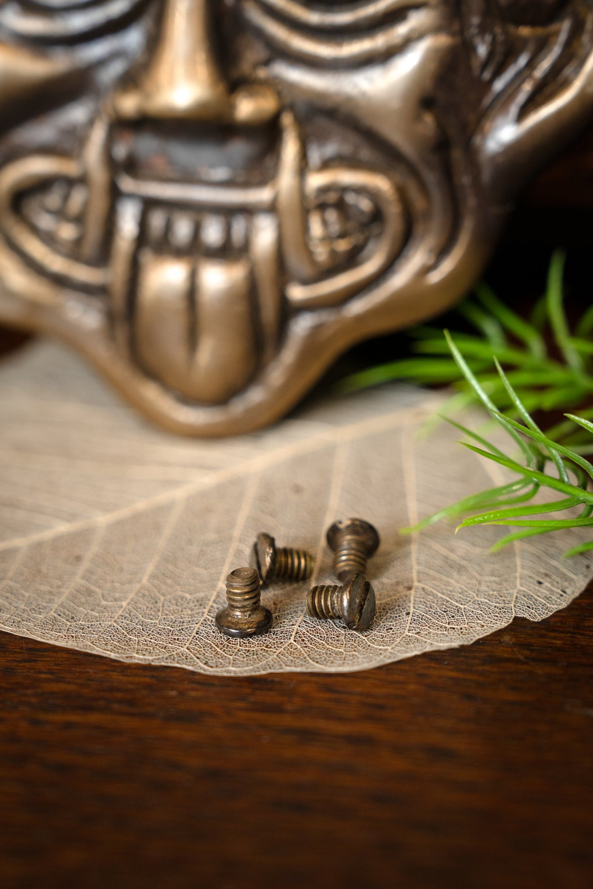 Grekiskt gorgonbeslag