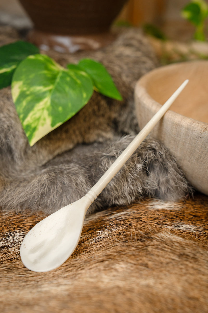 Cuchara romana de hueso