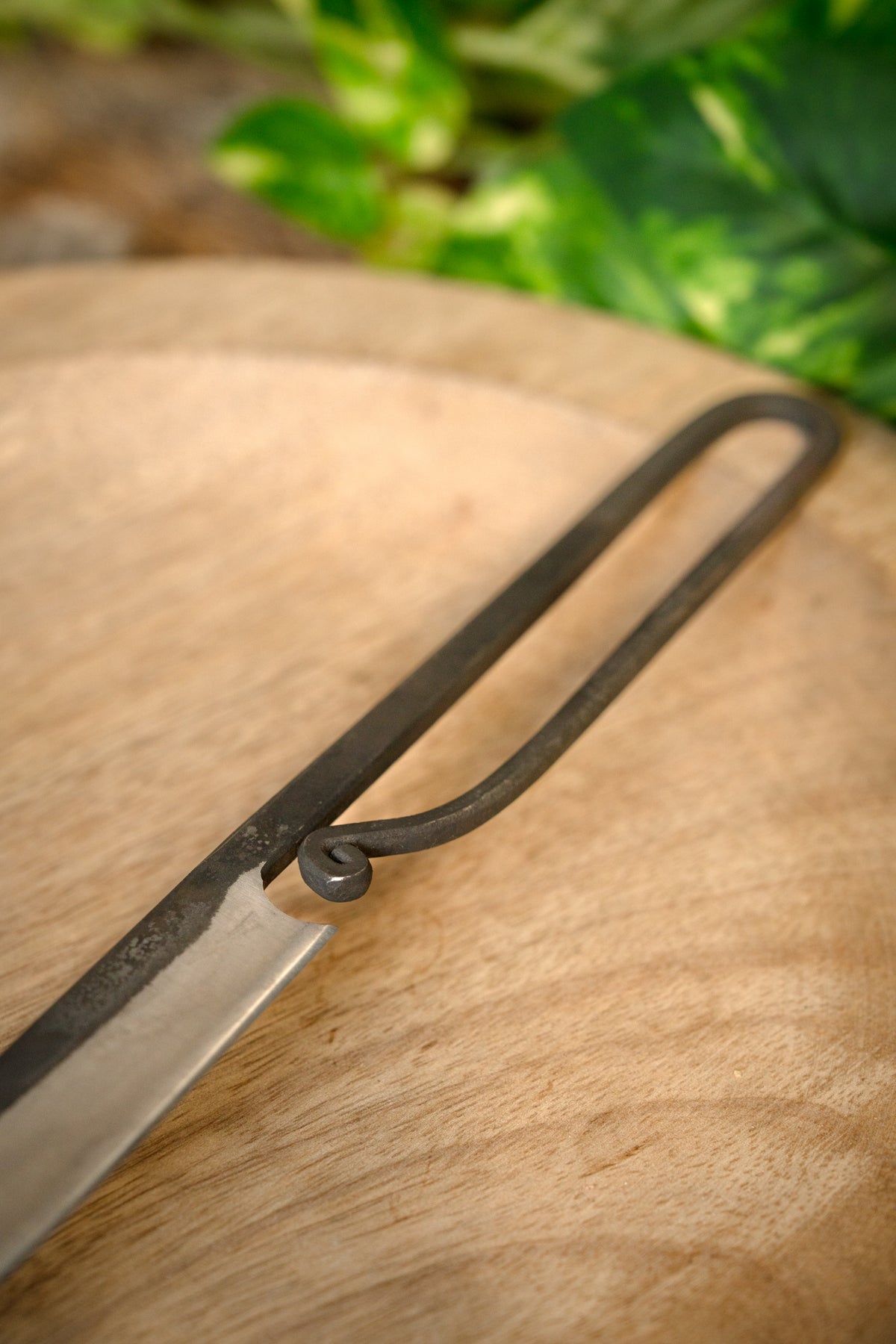 Praktisk kniv Orkney, semi-skarp