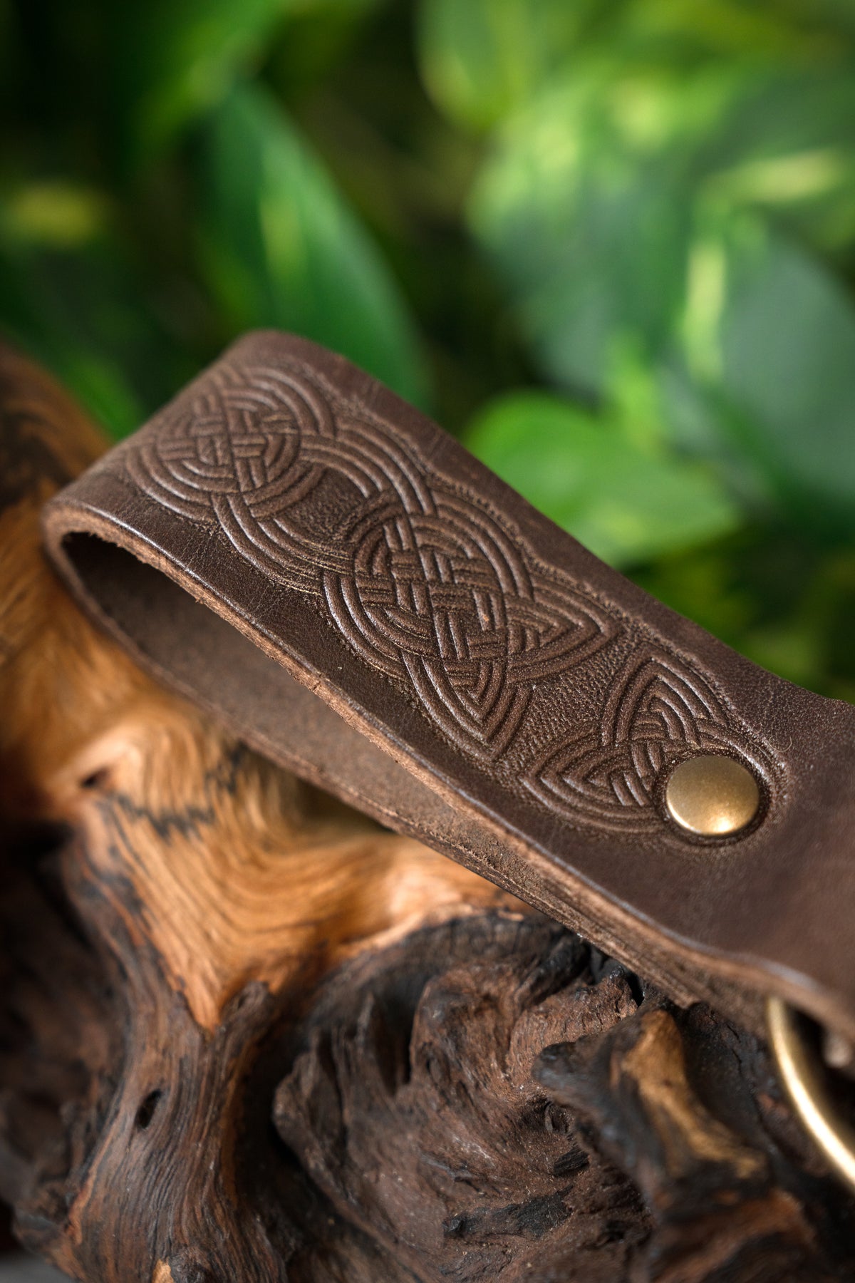 Keltisk läderhållare med ring, brun