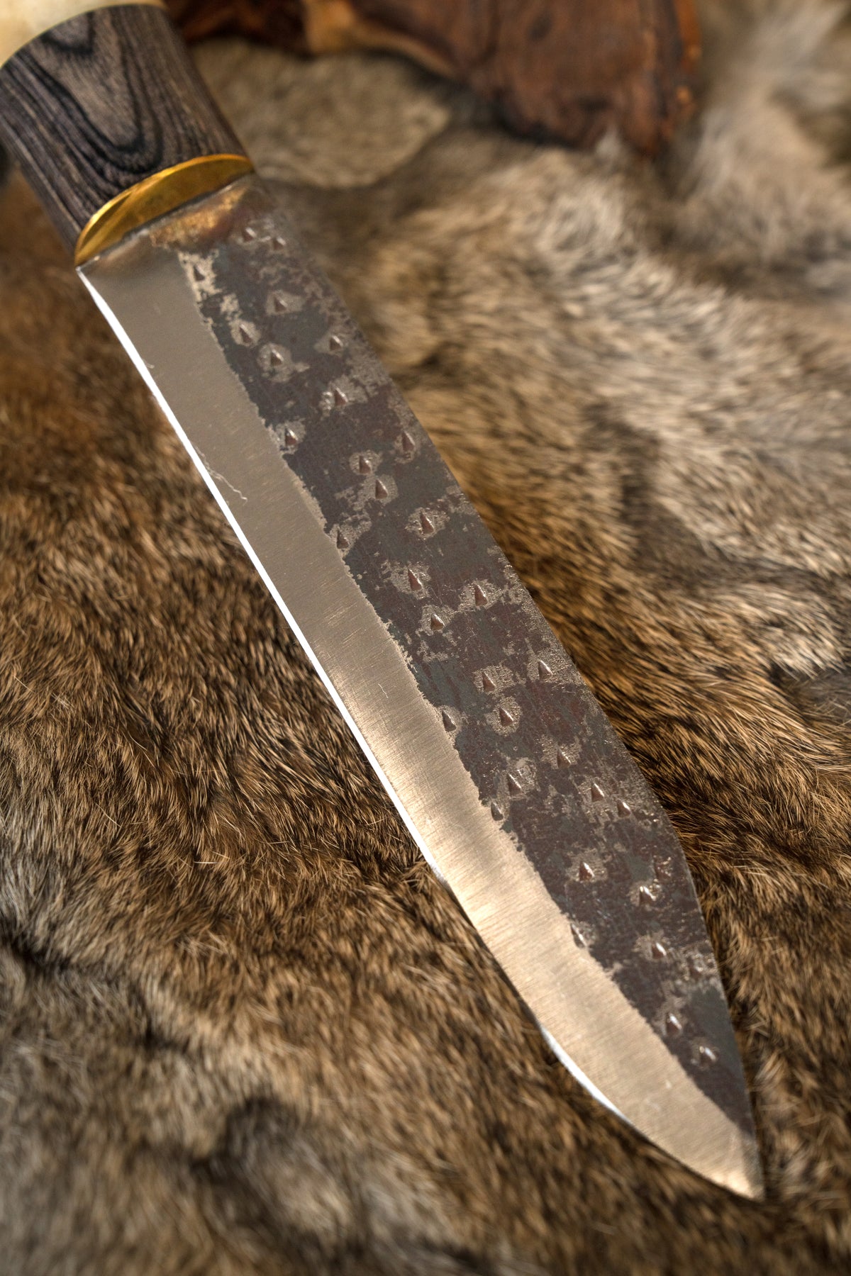 Sax vichingo Trondheim, semi-affilato