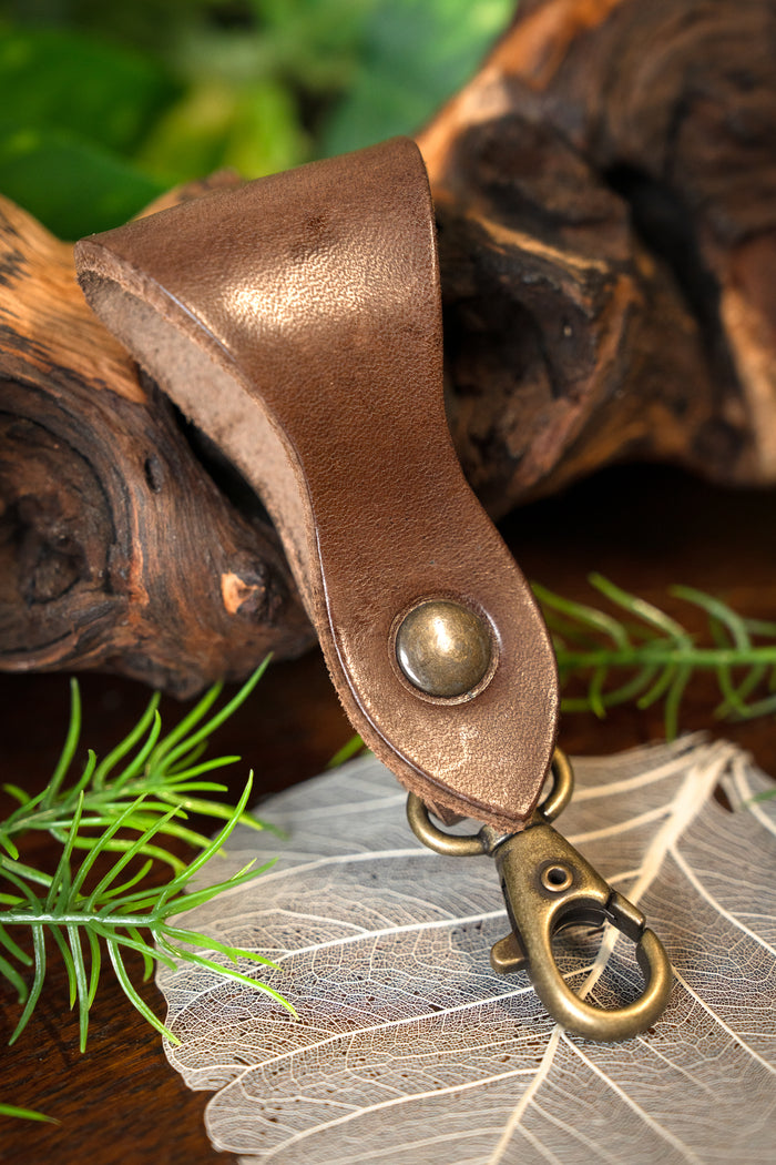 Belt holder with carabiner