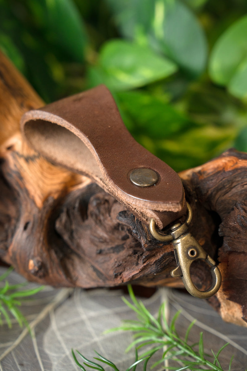 Bälthållare med karbinhake