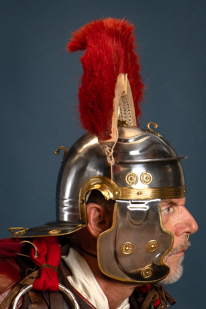 Romersk hjelmkam, rød