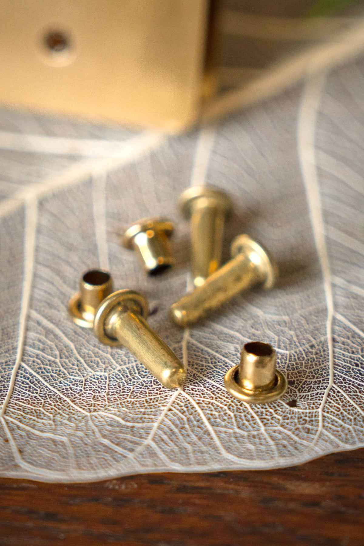 Belt plate 3 cm, bronze