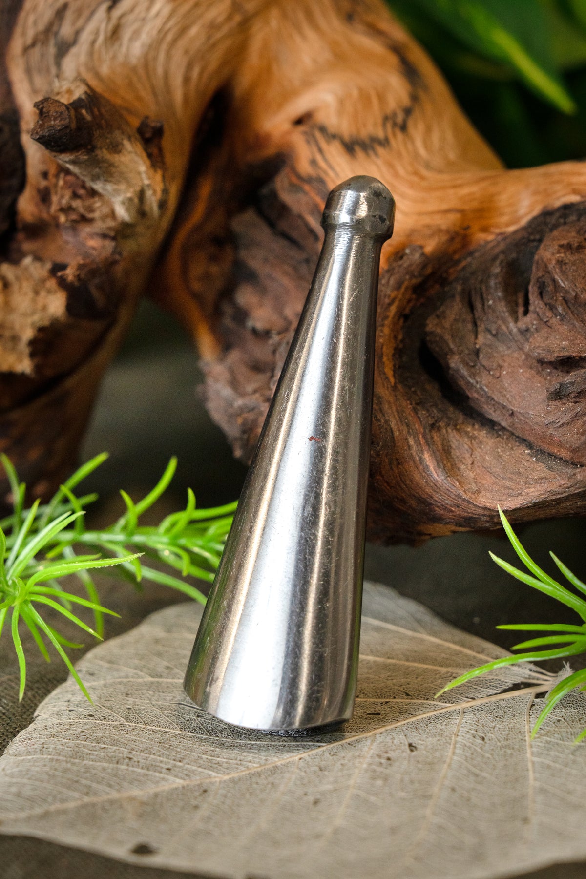 Spids til sværdeskede, mellem