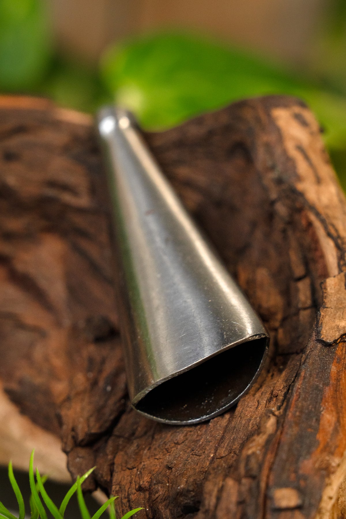 Spids til sværdeskede, mellem