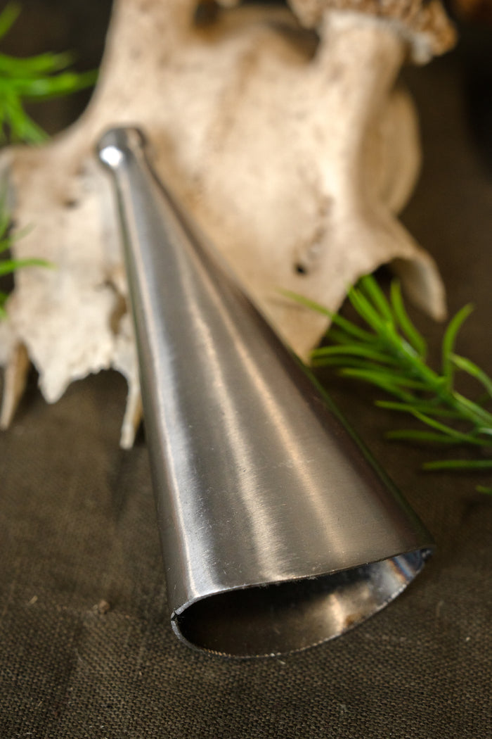 Spids til sværdeskede, stor