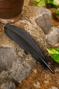 Gåsefjer, sort, 15–21 cm
