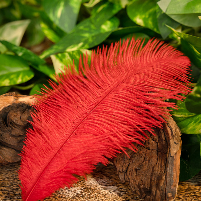 Red feather, 20-25 cm