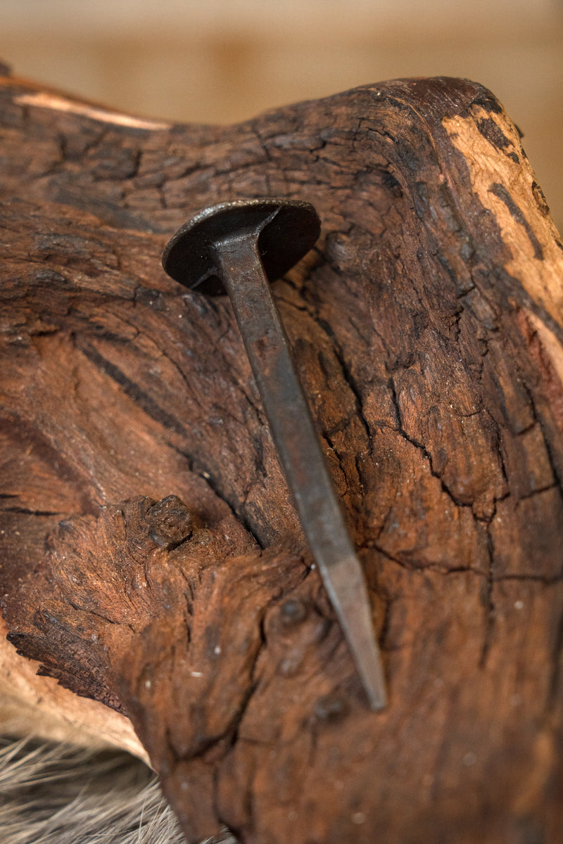 10 historiska korta spikar