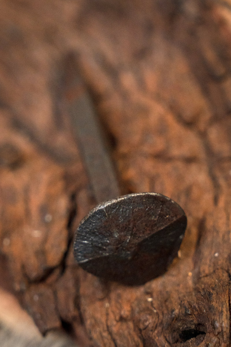 10 historiska korta spikar